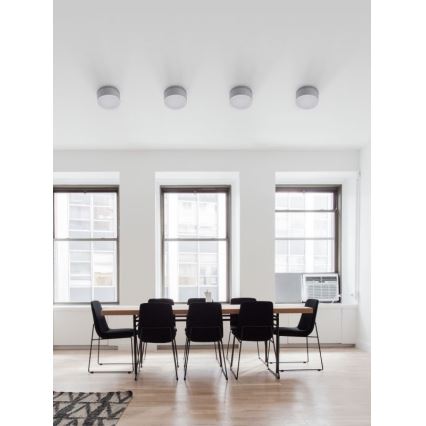 Luz de teto de exterior LED BRUNO LED/10W/230V IP54