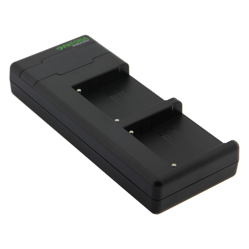 PATONA - Carregador rápido Dual Sony F550/F750/F970/FM50 + cabo USB-C 0,6m