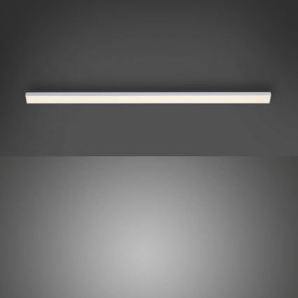 Paul Neuhaus 1125-21-A - Luminária LED de extensão para trilho AMON LED/6W/12/230V