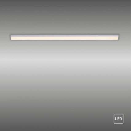 Paul Neuhaus 1125-21-A - Luminária LED de extensão para trilho AMON LED/6W/12/230V