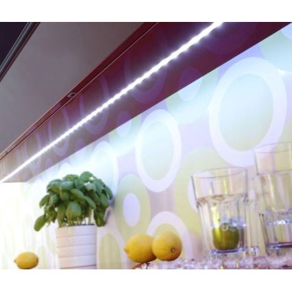 Paul Neuhaus 1205-70 - Tira LED RGB com regulação TEANIA 10m LED/30W/12/230V + controlo remoto