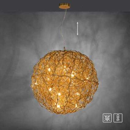 Paul Neuhaus 2019-12 - Lustre suspenso por cabo SAREA 15xG9/40W/230V dourado