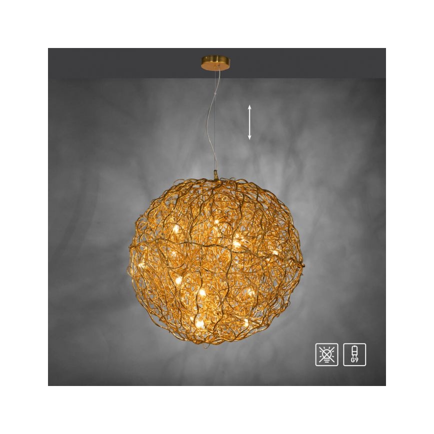 Paul Neuhaus 2019-12 - Lustre suspenso por cabo SAREA 15xG9/40W/230V dourado