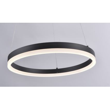 Paul Neuhaus 2381-13 - Candelabro suspenso LED com regulação TITUS LED/28W/230V