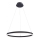 Paul Neuhaus 2382-13 - Candelabro suspenso LED com regulação TITUS LED/38,5W/230V
