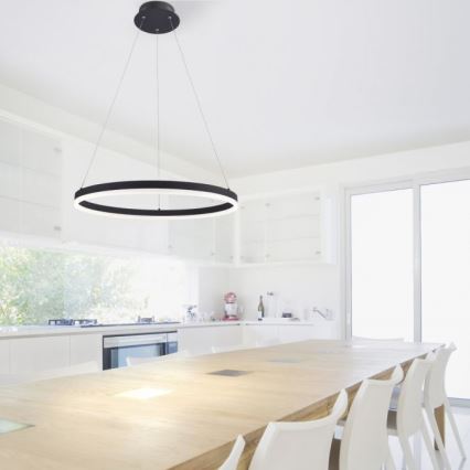 Paul Neuhaus 2382-13 - Candelabro suspenso LED com regulação TITUS LED/38,5W/230V