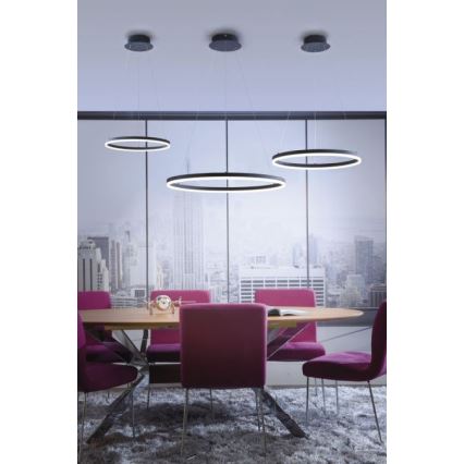 Paul Neuhaus 2382-13 - Candelabro suspenso LED com regulação TITUS LED/38,5W/230V