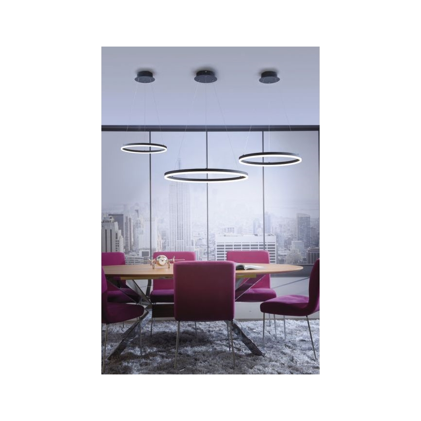 Paul Neuhaus 2382-13 - Candelabro suspenso LED com regulação TITUS LED/38,5W/230V