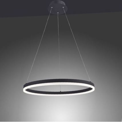Paul Neuhaus 2382-13 - Candelabro suspenso LED com regulação TITUS LED/38,5W/230V
