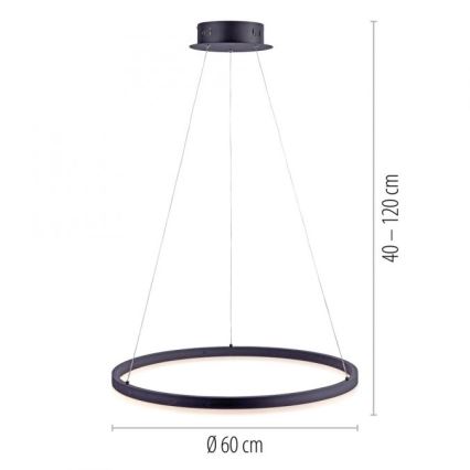 Paul Neuhaus 2382-13 - Candelabro suspenso LED com regulação TITUS LED/38,5W/230V