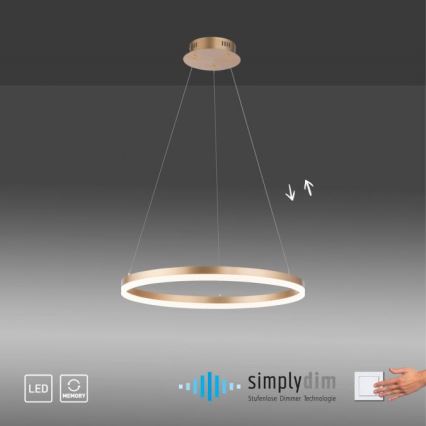 Paul Neuhaus 2382-60 - Candeeiro suspenso LED com regulação TITUS LED/38,5W/230V