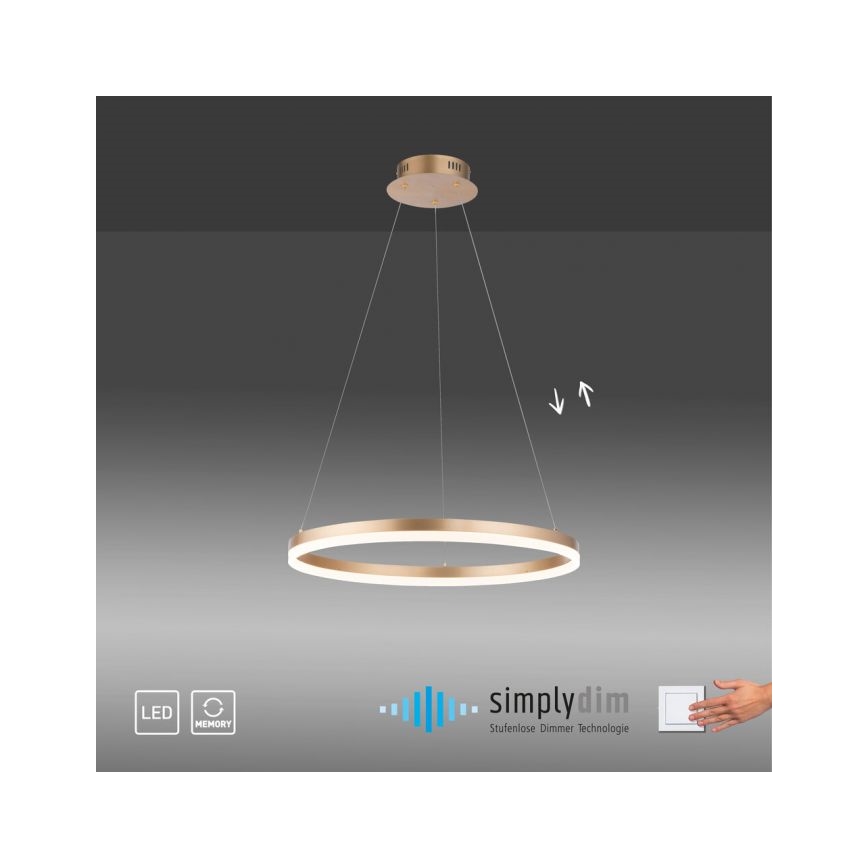 Paul Neuhaus 2382-60 - Candeeiro suspenso LED com regulação TITUS LED/38,5W/230V