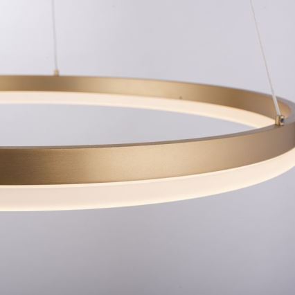 Paul Neuhaus 2382-60 - Candeeiro suspenso LED com regulação TITUS LED/38,5W/230V