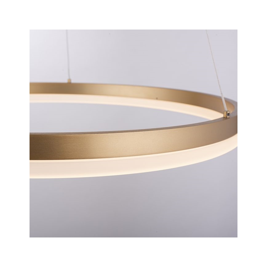 Paul Neuhaus 2382-60 - Candeeiro suspenso LED com regulação TITUS LED/38,5W/230V