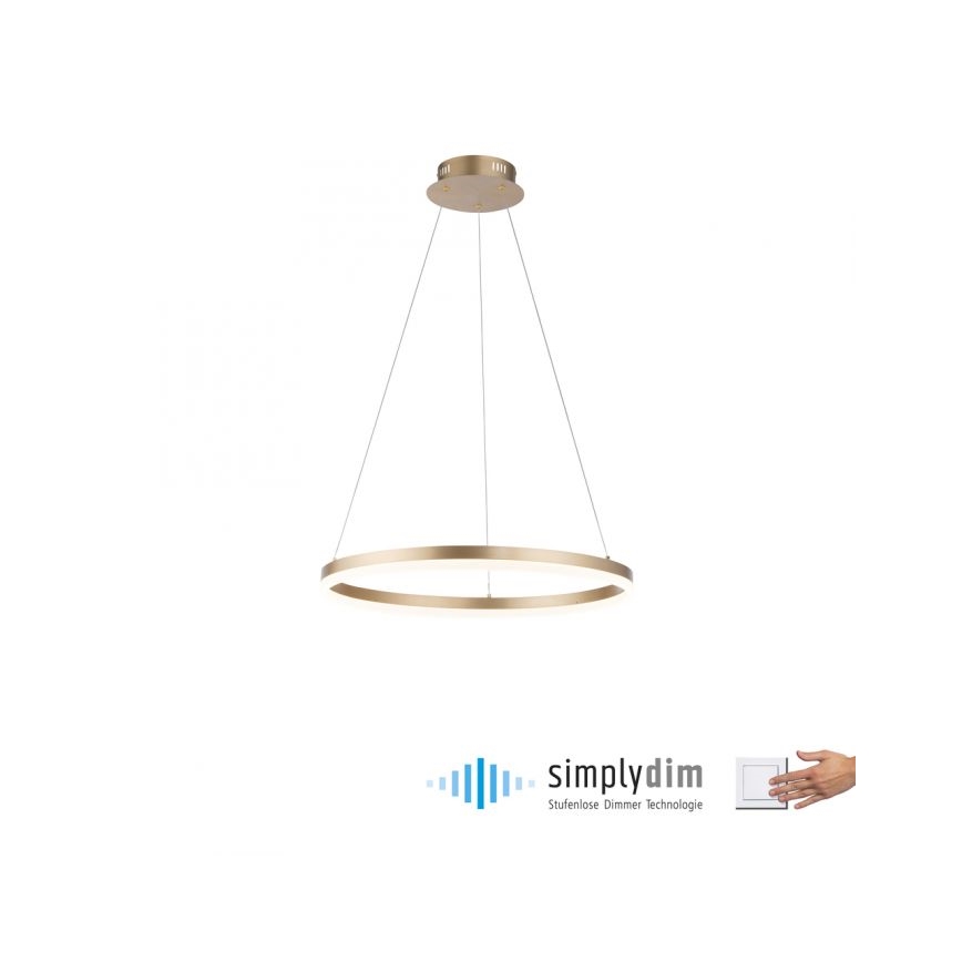 Paul Neuhaus 2382-60 - Candeeiro suspenso LED com regulação TITUS LED/38,5W/230V