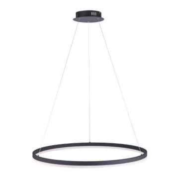 Paul Neuhaus 2383-13 - Candelabro suspenso LED com regulação TITUS LED/50W/230V