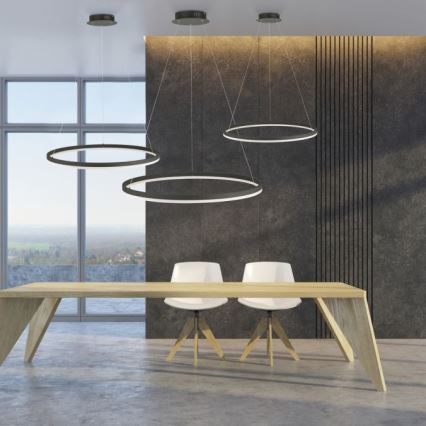 Paul Neuhaus 2383-13 - Candelabro suspenso LED com regulação TITUS LED/50W/230V