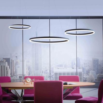 Paul Neuhaus 2383-13 - Candelabro suspenso LED com regulação TITUS LED/50W/230V