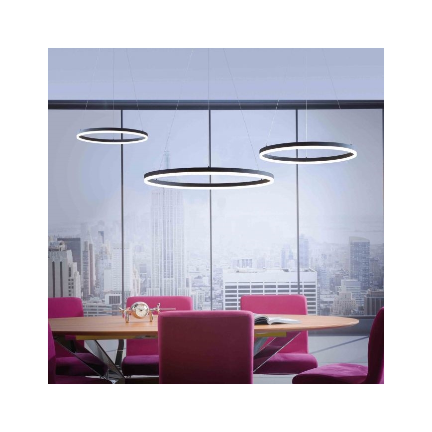 Paul Neuhaus 2383-13 - Candelabro suspenso LED com regulação TITUS LED/50W/230V
