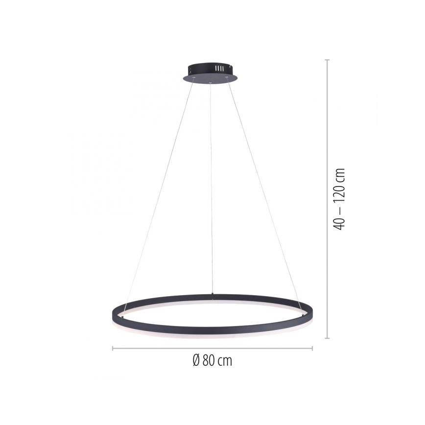 Paul Neuhaus 2383-13 - Candelabro suspenso LED com regulação TITUS LED/50W/230V