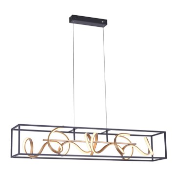 Paul Neuhaus 2416-18 - Candelabro num fio fosco LED SELINA 4xLED/10,2W/230V