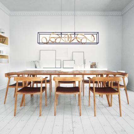 Paul Neuhaus 2416-18 - Candelabro num fio fosco LED SELINA 4xLED/10,2W/230V