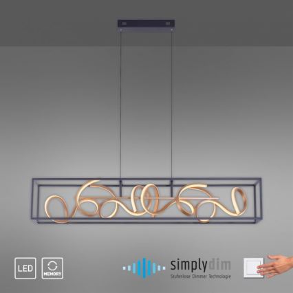 Paul Neuhaus 2416-18 - Candelabro num fio fosco LED SELINA 4xLED/10,2W/230V