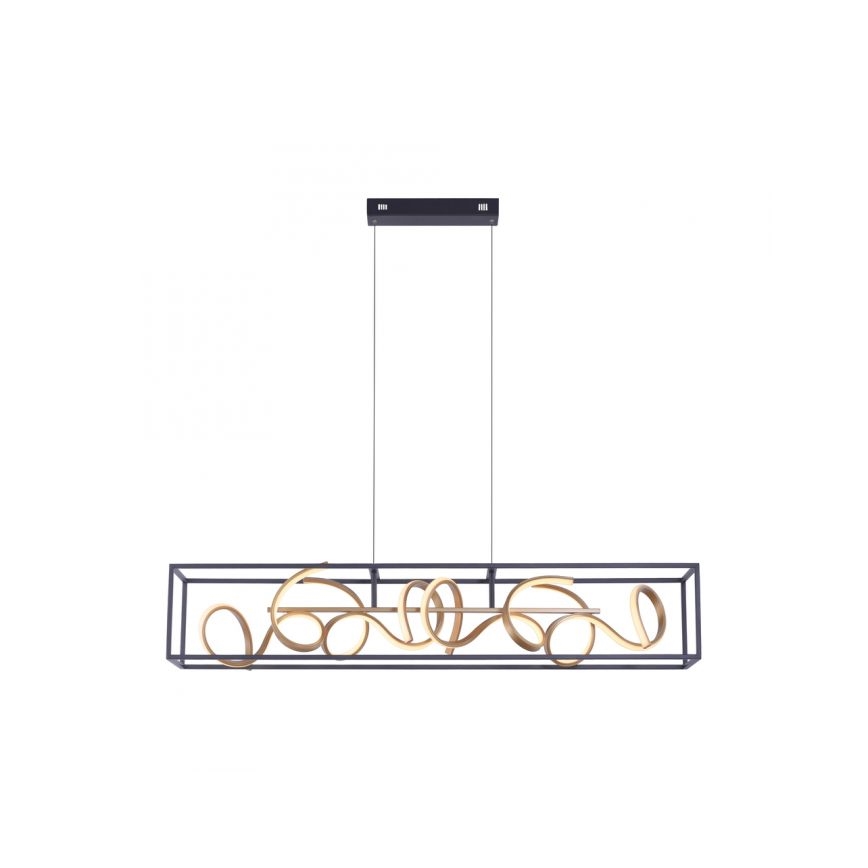 Paul Neuhaus 2416-18 - Candelabro num fio fosco LED SELINA 4xLED/10,2W/230V