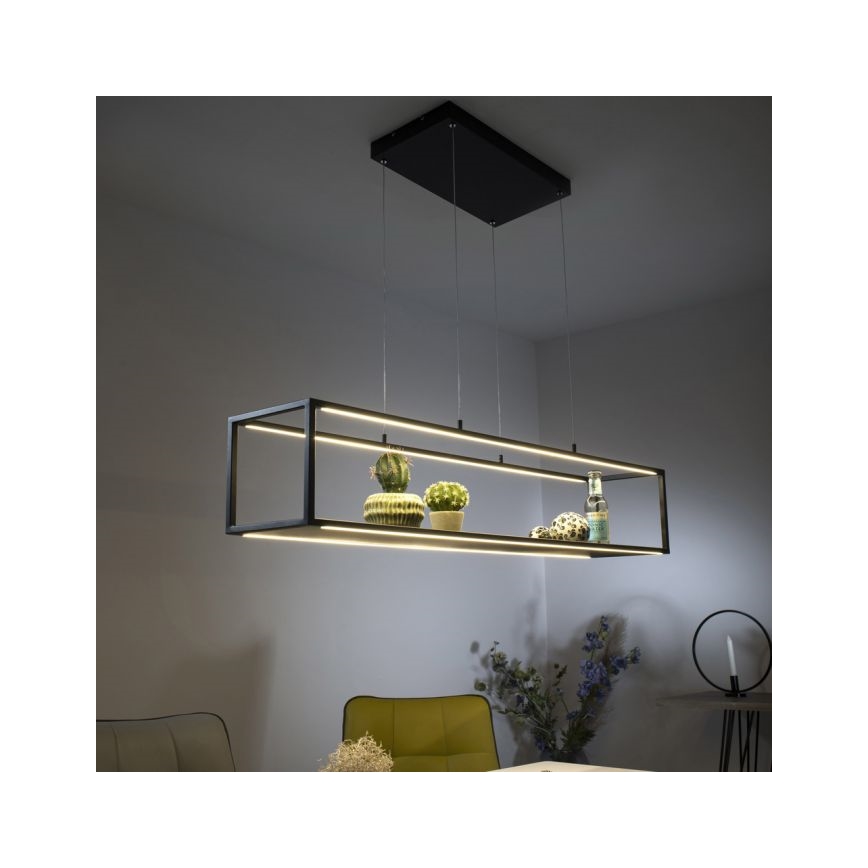 Paul Neuhaus 2441-18 - Candelabro suspenso LED com regulação CONTURA 4xLED/8W/230V