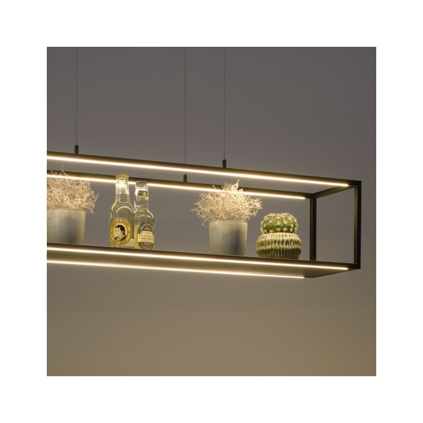 Paul Neuhaus 2441-18 - Candelabro suspenso LED com regulação CONTURA 4xLED/8W/230V