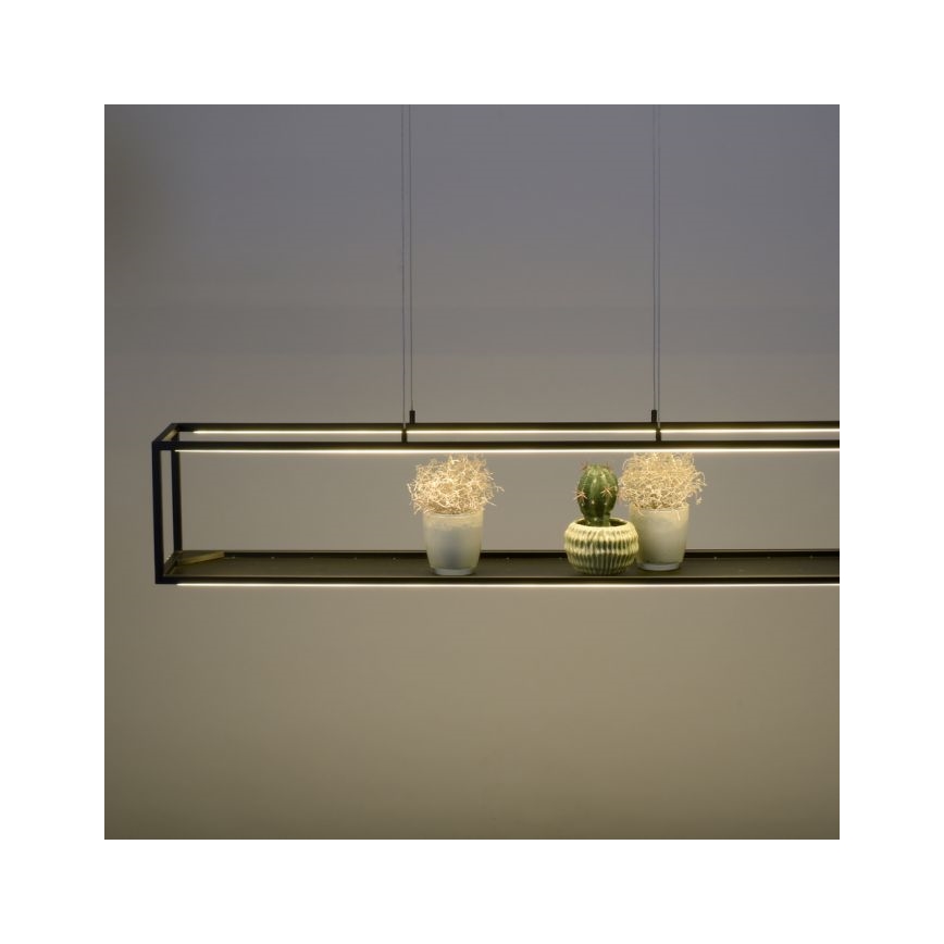 Paul Neuhaus 2441-18 - Candelabro suspenso LED com regulação CONTURA 4xLED/8W/230V