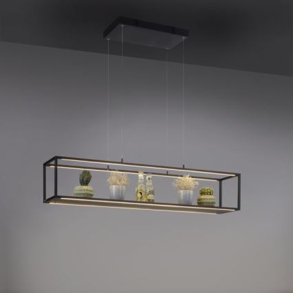 Paul Neuhaus 2441-18 - Candelabro suspenso LED com regulação CONTURA 4xLED/8W/230V