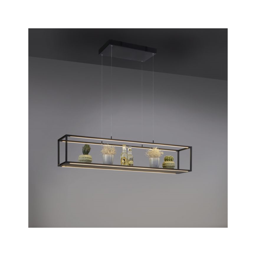Paul Neuhaus 2441-18 - Candelabro suspenso LED com regulação CONTURA 4xLED/8W/230V