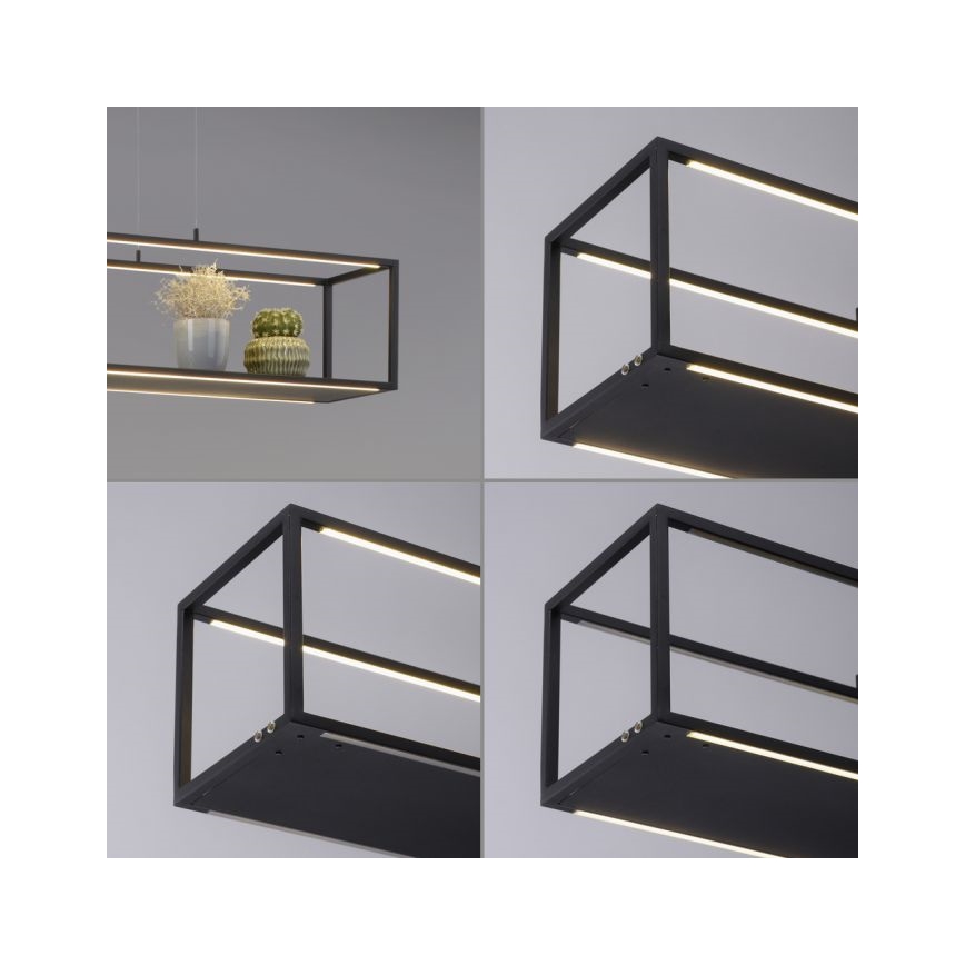 Paul Neuhaus 2441-18 - Candelabro suspenso LED com regulação CONTURA 4xLED/8W/230V