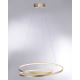 Paul Neuhaus 2474-12 - Candelabro suspenso LED com regulação ROMAN LED/40W/230V dourado