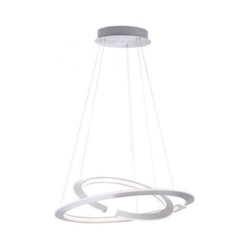 Paul Neuhaus 2491-55 - Lustre LED regulável em cabo ALESSA 2xLED/26W/230V com comando à distância