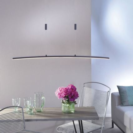 Paul Neuhaus 2530-13 - Candelabro suspenso LED com regulação JANINA LED/27W/230V