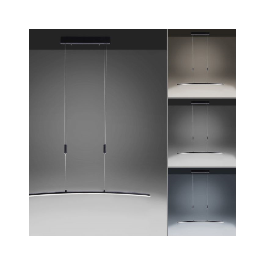 Paul Neuhaus 2530-13 - Candelabro suspenso LED com regulação JANINA LED/27W/230V