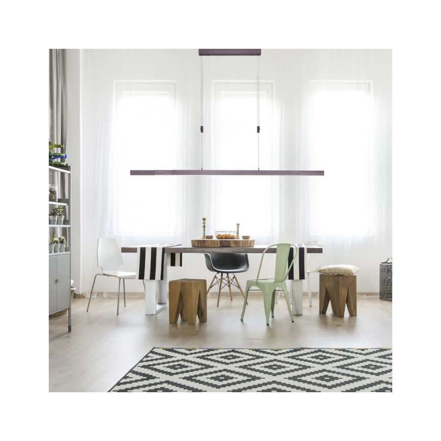 Paul Neuhaus 2568-24 - Candeeiro LED com regulação da luz num fio ADRIANA LED/14W/230V