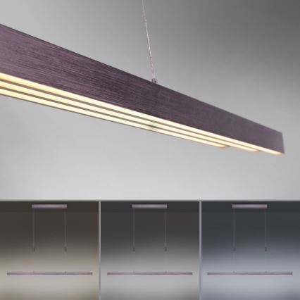 Paul Neuhaus 2568-24 - Candeeiro LED com regulação da luz num fio ADRIANA LED/14W/230V