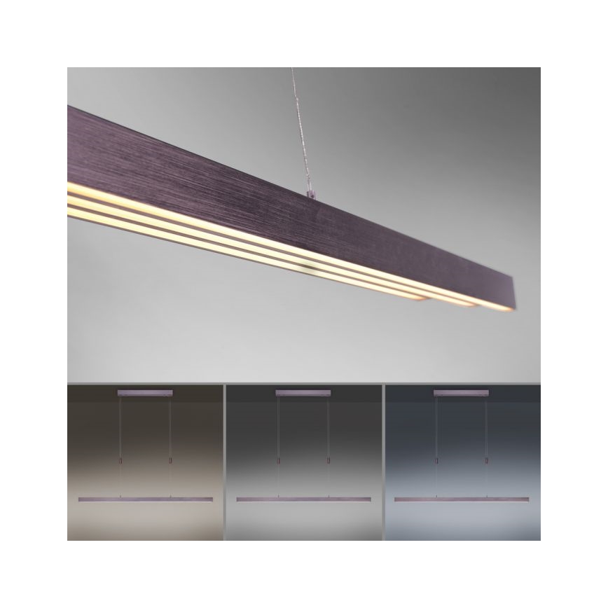 Paul Neuhaus 2568-24 - Candeeiro LED com regulação da luz num fio ADRIANA LED/14W/230V