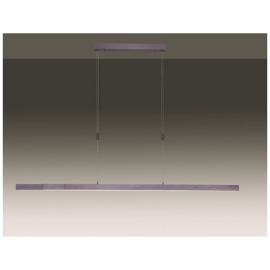 Paul Neuhaus 2568-24 - Candeeiro LED com regulação da luz num fio ADRIANA LED/14W/230V