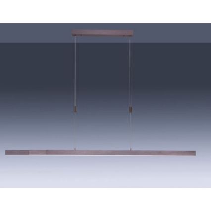 Paul Neuhaus 2568-24 - Candeeiro LED com regulação da luz num fio ADRIANA LED/14W/230V