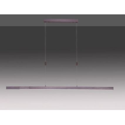 Paul Neuhaus 2568-24 - Candeeiro LED com regulação da luz num fio ADRIANA LED/14W/230V