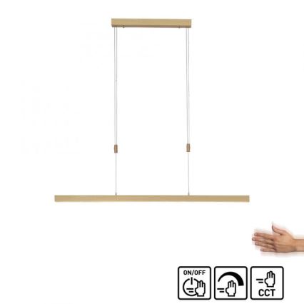 Paul Neuhaus 2568-60 - Candeeiro LED com regulação da luz num fio ADRIANA LED/14W/230V latão