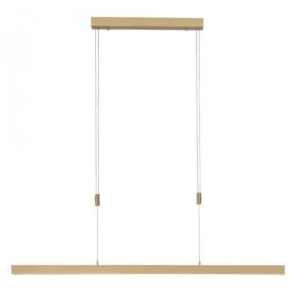 Paul Neuhaus 2568-60 - Candeeiro LED com regulação da luz num fio ADRIANA LED/14W/230V latão