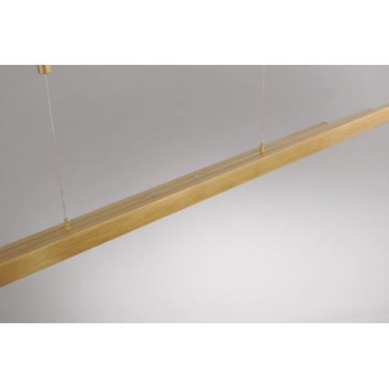 Paul Neuhaus 2568-60 - Candeeiro LED com regulação da luz num fio ADRIANA LED/14W/230V latão