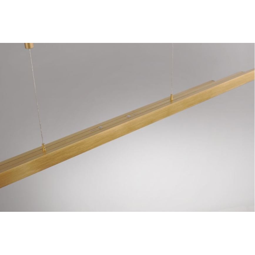 Paul Neuhaus 2568-60 - Candeeiro LED com regulação da luz num fio ADRIANA LED/14W/230V latão