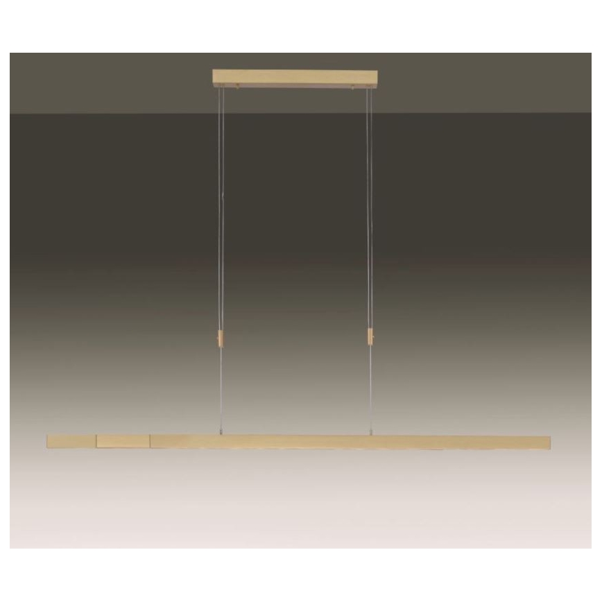 Paul Neuhaus 2568-60 - Candeeiro LED com regulação da luz num fio ADRIANA LED/14W/230V latão