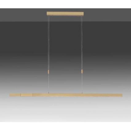 Paul Neuhaus 2568-60 - Candeeiro LED com regulação da luz num fio ADRIANA LED/14W/230V latão